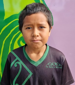 Levi - Kaiārahi ākonga